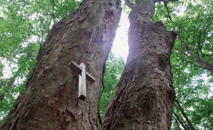 Cena spoczywa w słojach