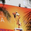Cannes: Filmy i pieniądze