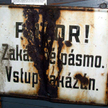 Odnaleziono groby Polaków zabitych na granicy Czechosłowacji i Austrii