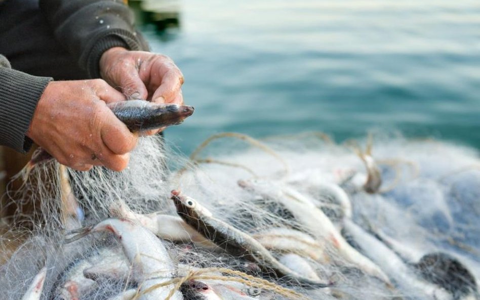 Seko: Pandemia obniżyła popyt na ryby