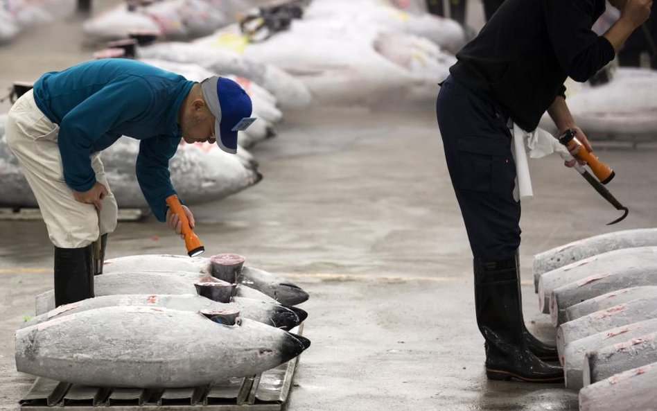 Ostatni aukcja tuńczyka na starym rynku rybnym Tsukiji w Tokio