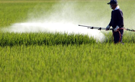 Choroba od pestycydów