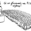 Komentarz rysunkowy. Ci co głosowali na PiS