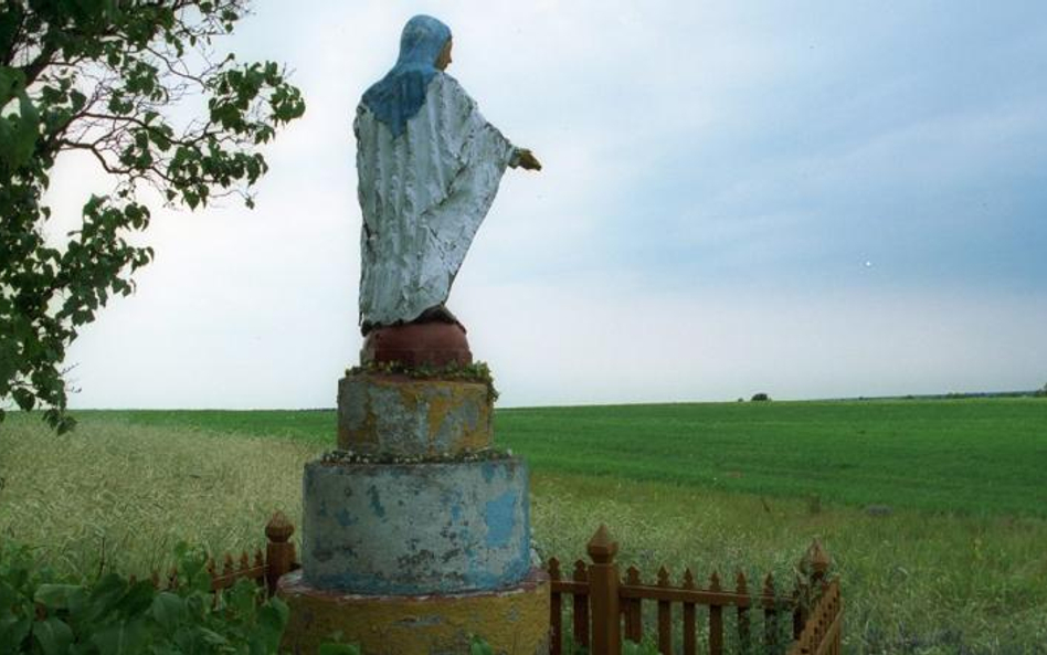 Miejsce zbrodni nacjonalistów ukraińskich w miejscowości Ostrówki na Ukrainie, które chciał zbadać I