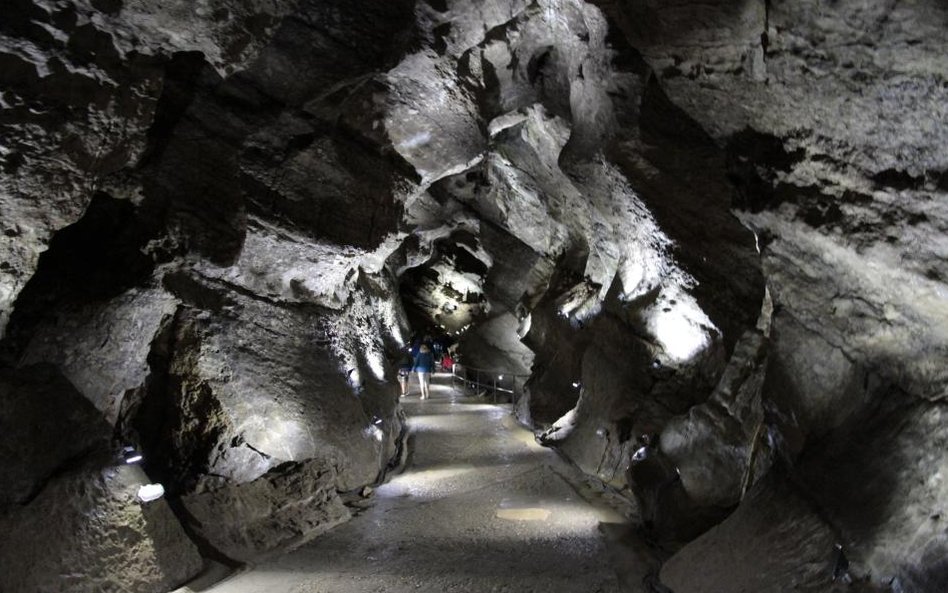 Jaskinie w Han-sur-Lesse w Belgii