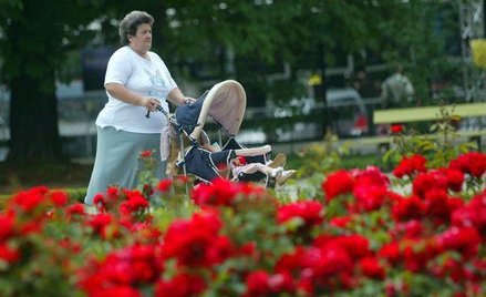 Niewielka liczba kobiet ma emeryturę z OFE