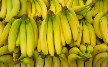 178 kg kokainy w bananach