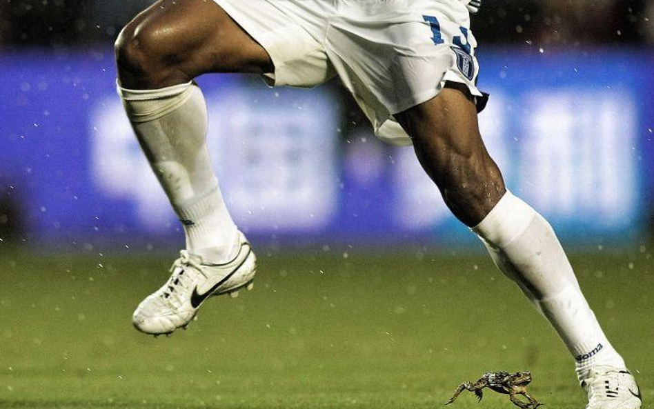 USA. Żaba i Carlos Costly z Hondurasu na stadionie w Miami (Fot. Marc Serota)