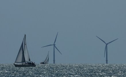 Morska farma wiatrowa w pobliżu Walton-on-the-Naze w Wielkiej Brytanii