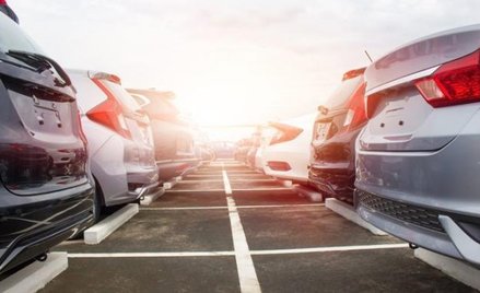 Dwie trzecie dilerów zapytanych, czy ponownie podjęliby współpracę ze swoim importerem, odpowiedział