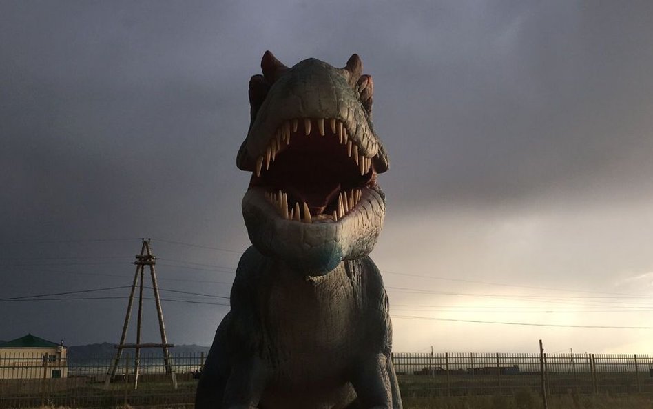 1. miejsce: Anna Aiko