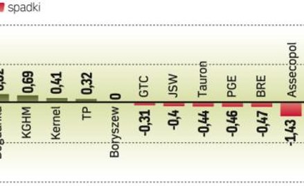 Warszawski parkiet był w poniedziałek jednym z najsłabszych na naszym kontynencie. Na Zachodzie inde