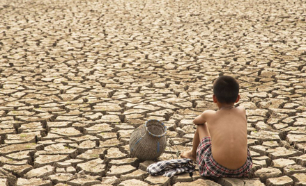 WHO: Co najmniej 250 tys. zgonów rocznie z powodu zmian klimatu