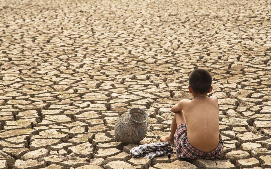 WHO: Co najmniej 250 tys. zgonów rocznie z powodu zmian klimatu