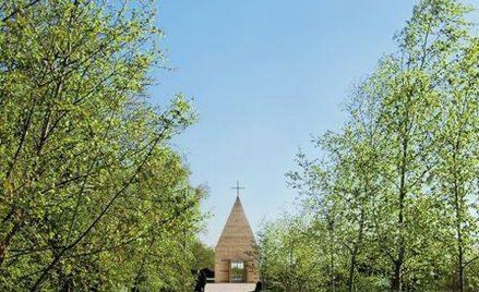 Design skromny i organiczny