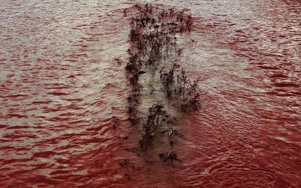 Ali Cherri, "Niepokój" 2013. Dzięki uprzejmości artysty i galerii Imane Far?s