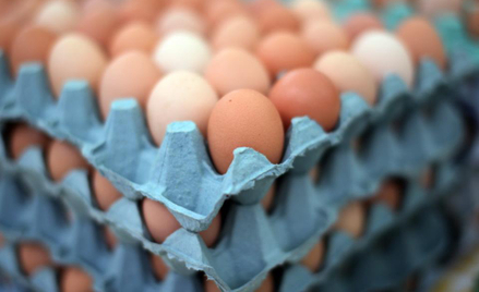 Aldi nie będzie już sprzedawać jajek z chowu klatkowego
