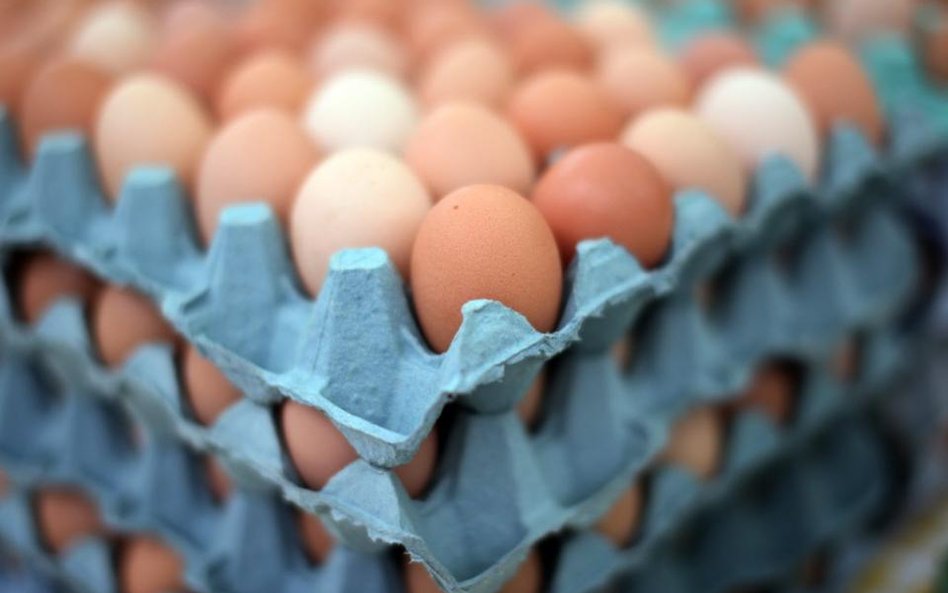 Aldi nie będzie już sprzedawać jajek z chowu klatkowego
