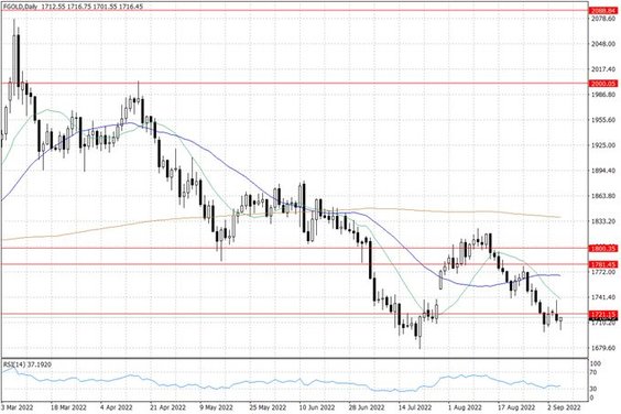 Notowania złota – dane dzienne