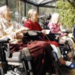Lek przeciw padaczce świetny na alzheimera