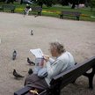 Świadczenie rehabilitacyjne nie dla emeryta