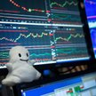 Wielcy gracze nadal obstawiają rynki wschodzące