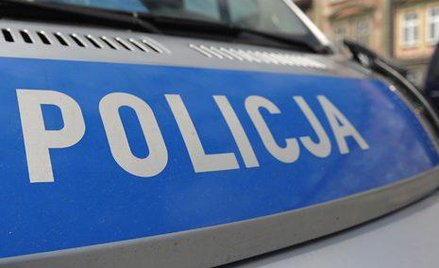 Rozbito gang sutenerów. Każdy za coś w nim odpowiadał