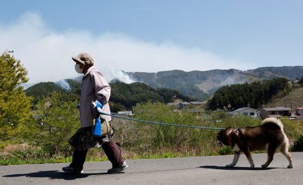 Japonia walczy z jednym z największych pożarów od lat. Masowe ewakuacje mieszkańców