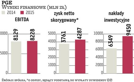 PGE spodziewa się presji na wynik finansowy w 2016 r. ze względu na sytuację na rynkach surowców i e