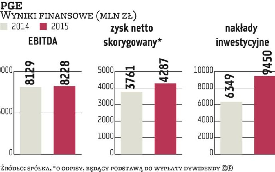 PGE spodziewa się presji na wynik finansowy w 2016 r. ze względu na sytuację na rynkach surowców i e