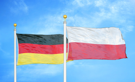 Michał Kobosko, Anton Hofreiter: Polska i Niemcy. Wspólnie dla Europy