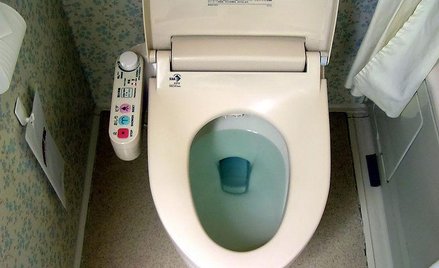 Gospodarka mierzona deskami klozetowymi