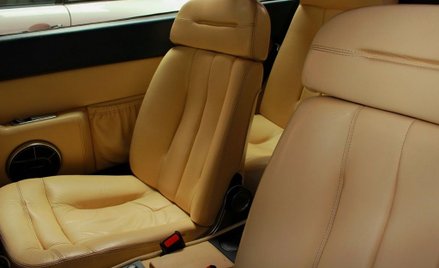 USA: Dzieci zginęły w rozgrzanym aucie. Matka skazana na 40 lat