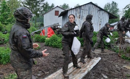 Mobilizacja WOT na południu Polski