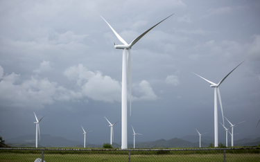 Polenergia rozwija potencjał zielonej energii