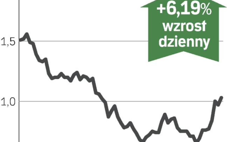 Sąd odroczył dalszy wzrost kursu