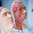 XVIII Międzynarodowy Kongres Medycyny Estetycznej i Anti-Aging już wkrótce