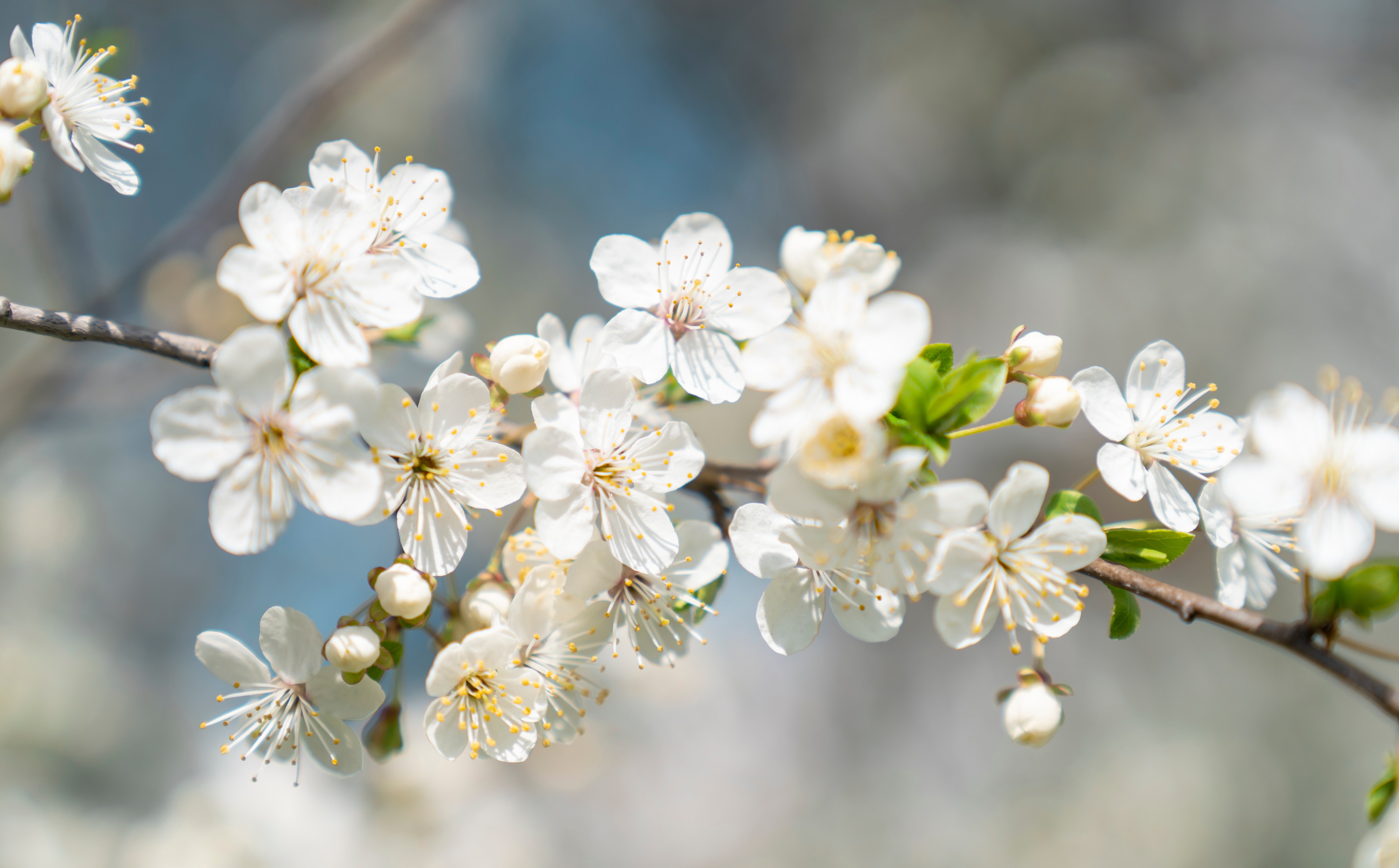 Najnowsza prognoza pogody na 10 dni. Kiedy wreszcie będzie cieplej?