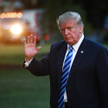 Nagrywała rozmowy w Białym Domu. Donald Trump nazwał ją "psem"