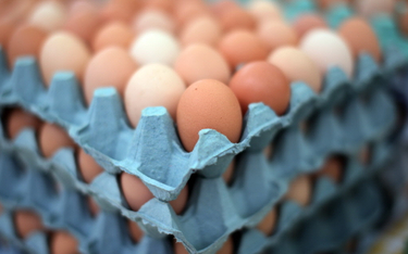 Jajka zimą mogą być rekordowo drogie. O ile wzrosną ceny?