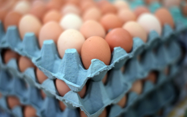 Salmonella atakuje w USA. Wycofano ponad 200 mln jajek