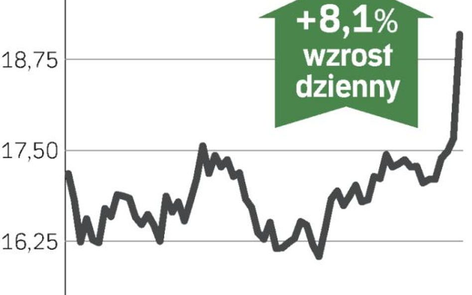 Hamburger za drogi w kryzysie