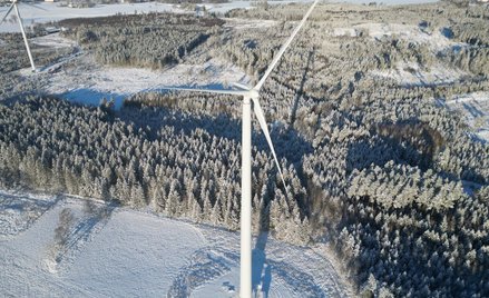 Budując wieżę wykorzystano około 200 świerków.
