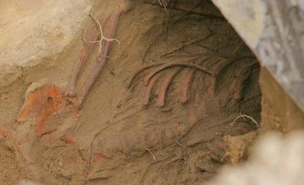 Światło wyjdzie spod ziemi