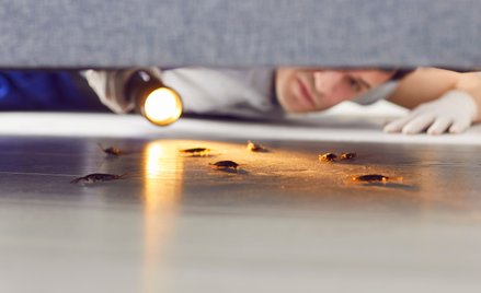 Rzym znalazł się na szczycie europejskiego rankingu miast, w których turyści najczęściej skarżą się 