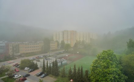 W najbliższych dniach spodziewać należy się porannych mgieł