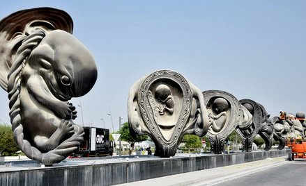 Przed ośrodkiem medycznym znów widać gigantyczne płody