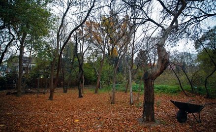 Właściciele domów obawiają się, że wysokie budynki w ich sąsiedztwie obniżą wartość ich nieruchomośc