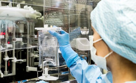 Synektik się nie zatrzymuje. Co pcha w górę kurs?