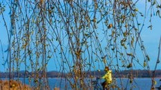 Nad Polskę dociera cieplejsza masa powietrza z zachodu